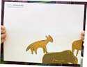 200802_fog_04